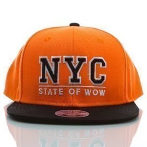 Toronto Youth Snapback