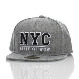 Toronto Youth Snapback