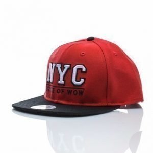 Toronto Youth Snapback