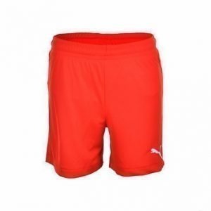 Velize Shorts