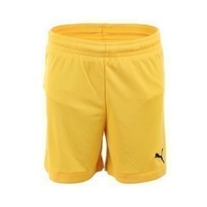 Velize Shorts