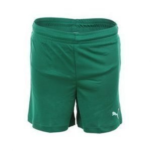 Velize Shorts