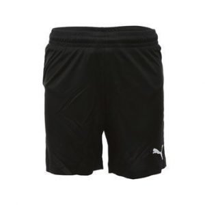 Velize Shorts