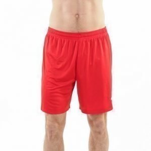 Velize Shorts