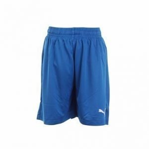 Velize Shorts