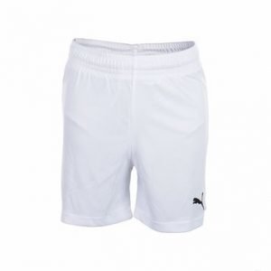 Velize Shorts