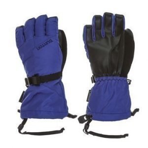 Youth Gore-Tex Glove